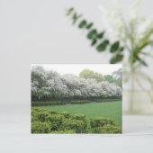 コンサートリーガーデンセントラルパークニューヨークシティNYC ポストカード (スタンド正面)