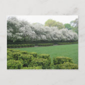 コンサートリーガーデンセントラルパークニューヨークシティNYC ポストカード (正面)