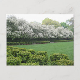 コンサートリーガーデンセントラルパークニューヨークシティNYC ポストカード