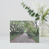 コンサートリーガーデンセントラルパークニューヨークシティNYC ポストカード (スタンド正面)