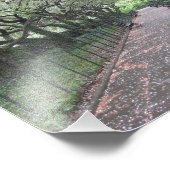 コンサートリーガーデンセントラルパークNYC写真 フォトプリント (角)