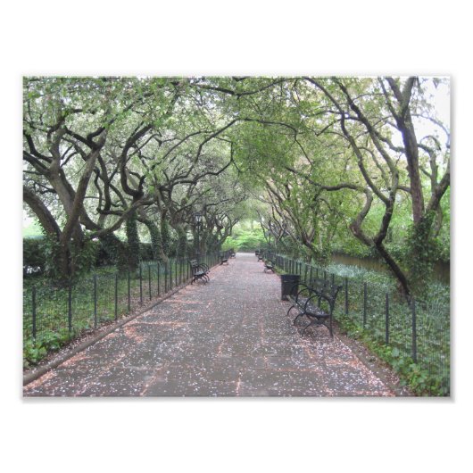 コンサートリーガーデンセントラルパークNYC写真 フォトプリント (正面)