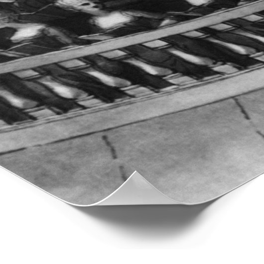 コンサート ポスター (角)