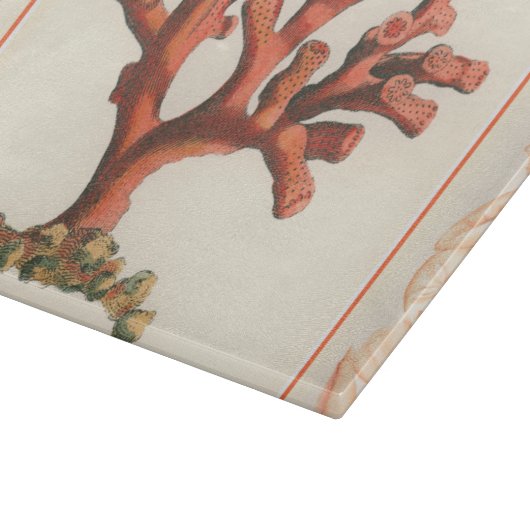 コンシュの貝のボーダーが付いている赤い珊瑚 カッティングボード (角)