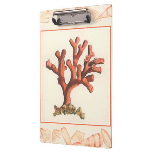 コンシュの貝のボーダーが付いている赤い珊瑚 クリップボード (左)