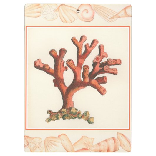 コンシュの貝のボーダーが付いている赤い珊瑚 クリップボード (裏面)