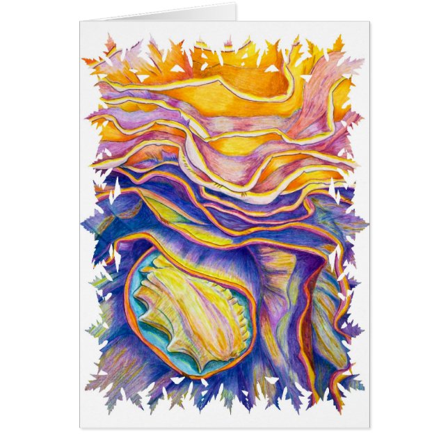 コンシュの貝 (正面)