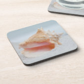 コンシュの貝 コースター (左側)