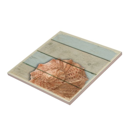 コンシュの貝 タイル (側面)