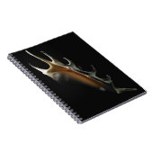 コンシュの貝 ノートブック (右側)