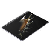 コンシュの貝 ノートブック (左側)