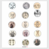 コンジョインドシアミツツインズサイドショーフリークス写真アート シール (シート)