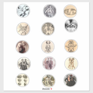 コンジョインドシアミツツインズサイドショーフリークス写真アート シール