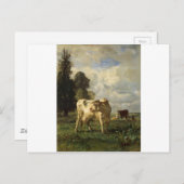 コンスタントトロヨンの畑の牛 ポストカード (正面/裏面)