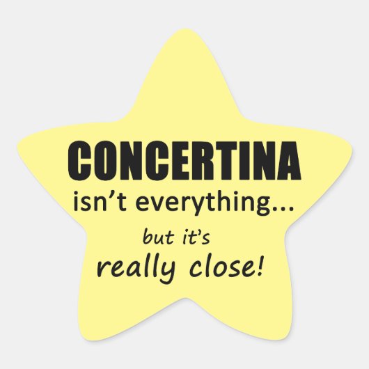 コンセプティナは全てではないスターのステッカー 星シール (正面)