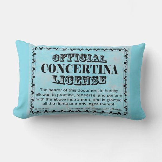 コンセルティーナ免許 ランバークッション (正面)