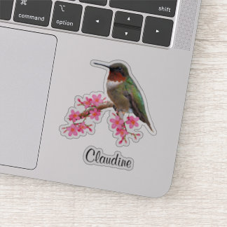 コンターピンクの花とハミングバードビニールのシール シール