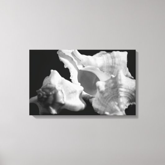 コンチインブラック&ホワイトキャンバスプリント キャンバスプリント (正面)