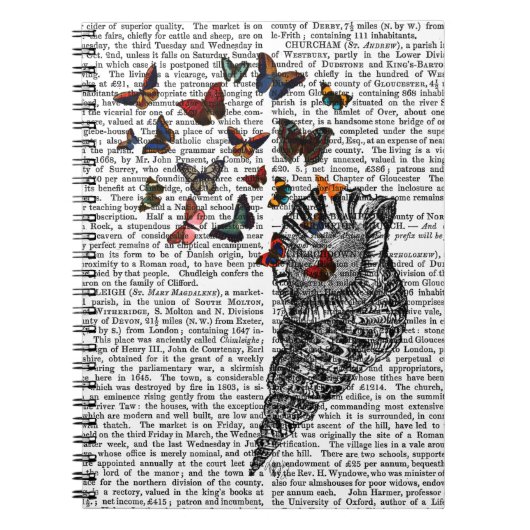 コンチシェルと蝶2 ノートブック (正面)