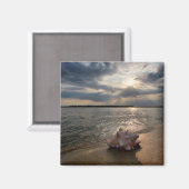 コンチシェルアットビーチ |セントオーガスティン（フロリダ州） マグネット (正面/裏面)