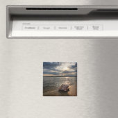 コンチシェルアットビーチ |セントオーガスティン（フロリダ州） マグネット (インサイチュ (食洗機))