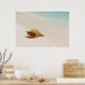 コンチシェルオンビーチ3 ポスター (キッチン)