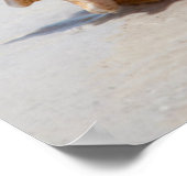 コンチシェルオンビーチ |フロリダ、サンクトペテルブルク ポスター (角)