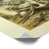 コンチシェルカラーアートプリント ポスター (角)