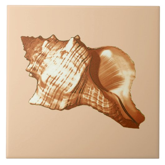 コンチシェルスケッチ – ブラウン、ホワイト、タン タイル (正面)
