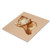 コンチシェルスケッチ – ブラウン、ホワイト、タン タイル (側面)