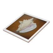 コンチシェルタイル タイル (側面)