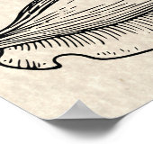 コンチシェルヴィンテージイラストレーション ポスター (角)