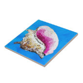 コンチシェル装飾タイル タイル (側面)