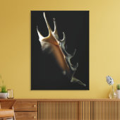 コンチシェル キャンバスプリント (インサイチュ (リビング))