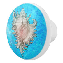 コンチシェル「ビーチライフ」