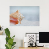 コンチシェル |フロリダ ポスター (ホームオフィス)