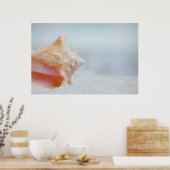 コンチシェル |フロリダ ポスター (キッチン)