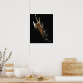 コンチシェル ポスター (キッチン)