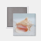 コンチシェル マグネット (正面/裏面)