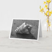 コンチシェル（白黒）カード カード (黄色い花)