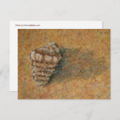 コンチシーシェルサンドビーチポストカード ポストカード (正面/裏面)