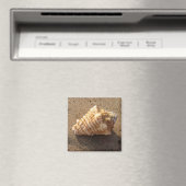 コンチシーシェルサンドビーチ磁石 マグネット (インサイチュ (食洗機))