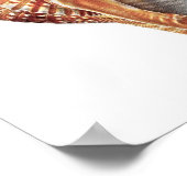 コンチシーシェルno.3ビーチホームデコールアートプリント ポスター (角)