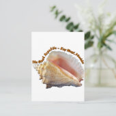 コンチ共和国 ポストカード (スタンド正面)