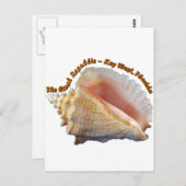 コンチ共和国 ポストカード (正面/裏面)