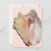 コンチ·シーシェル結婚ズ 招待状 (裏面)