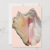 コンチ·シーシェル結婚ズ 招待状 (裏面)