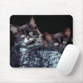 コンテナ内の子猫 マウスパッド (マウス)