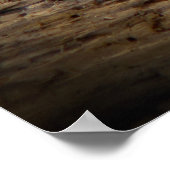 コンテンツタイガー ポスター (角)