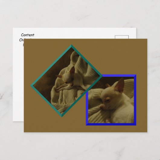 コンテンツChihuahua子犬はがき ポストカード (正面/裏面)